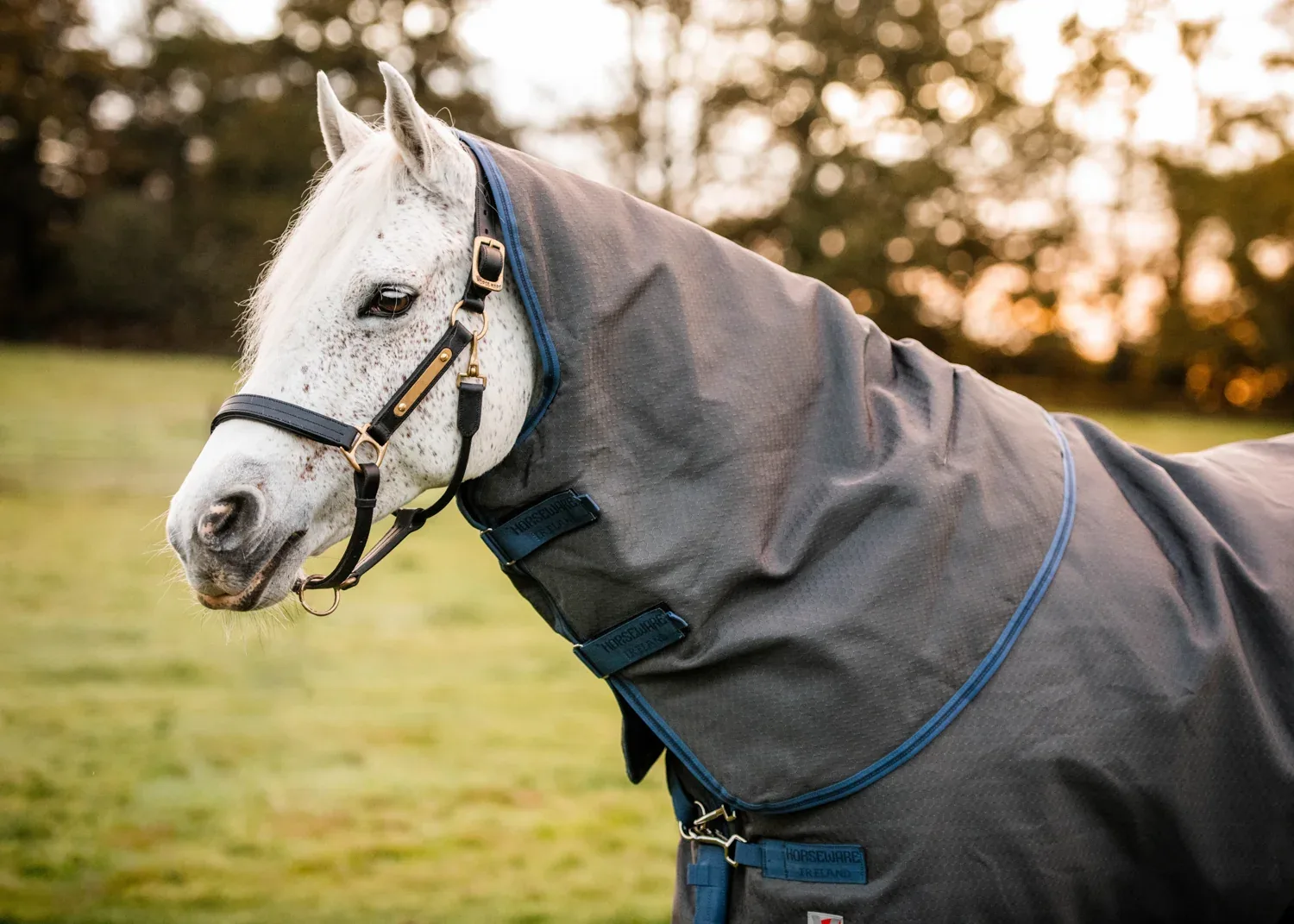 Horseware® Ireland Rhino® Plus HexStop Vari-Layer® 250 Gram Medium-Weight Turnout Blanket - Image 2
