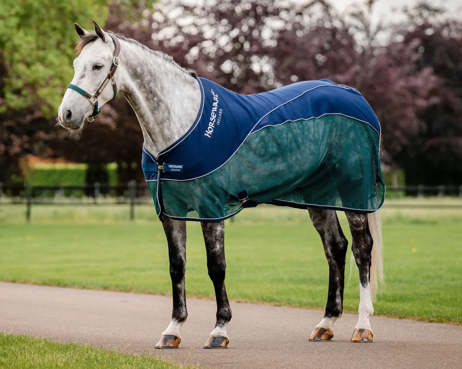 Horseware® Ireland Signature Sport Cooler