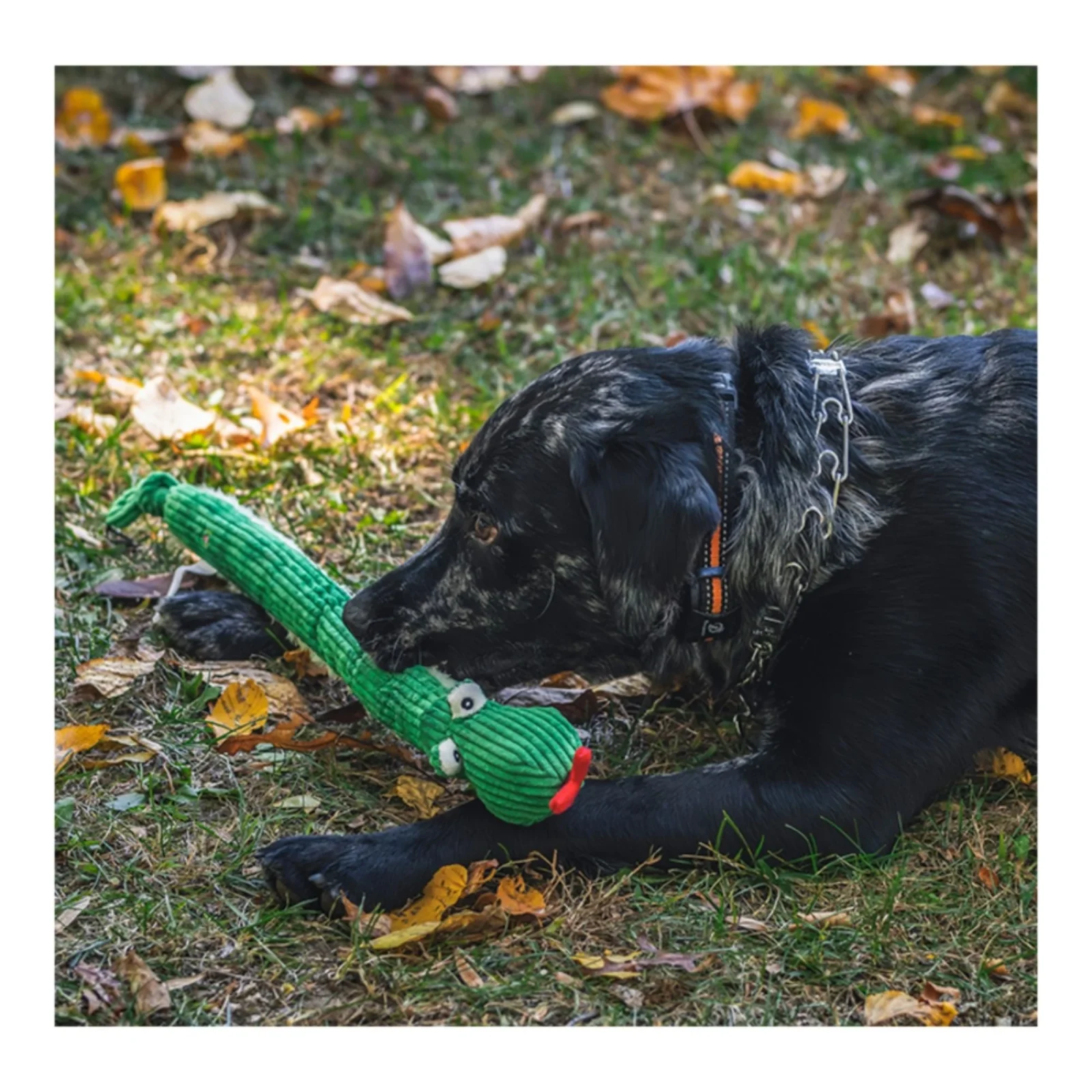 Hugglehounds Knottie Sir Squeaks-A-Lot Snake, Small - Image 2