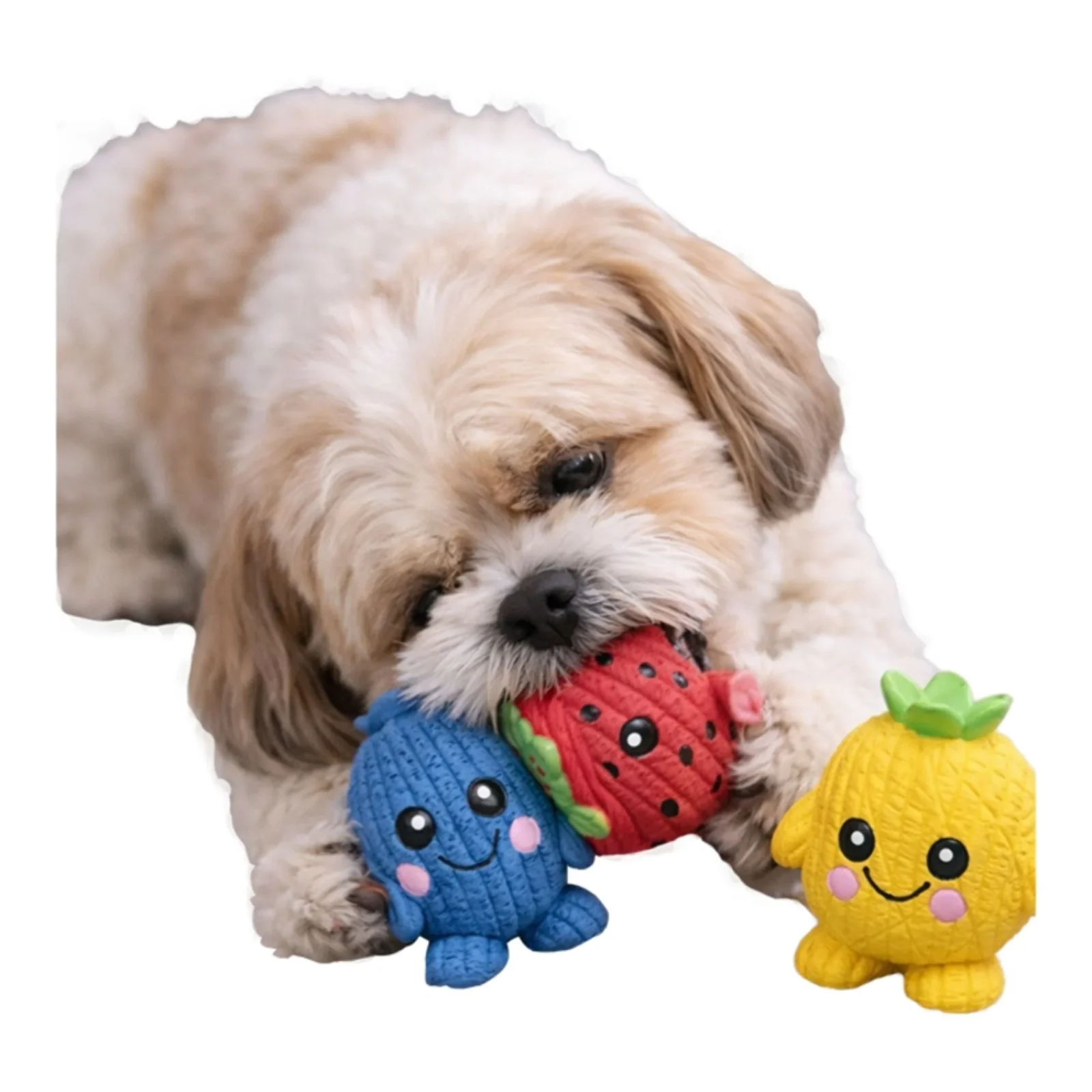 Hugglehounds Ruff-Tex Fruitie Cuties Foodies, 3-Pack - Image 2