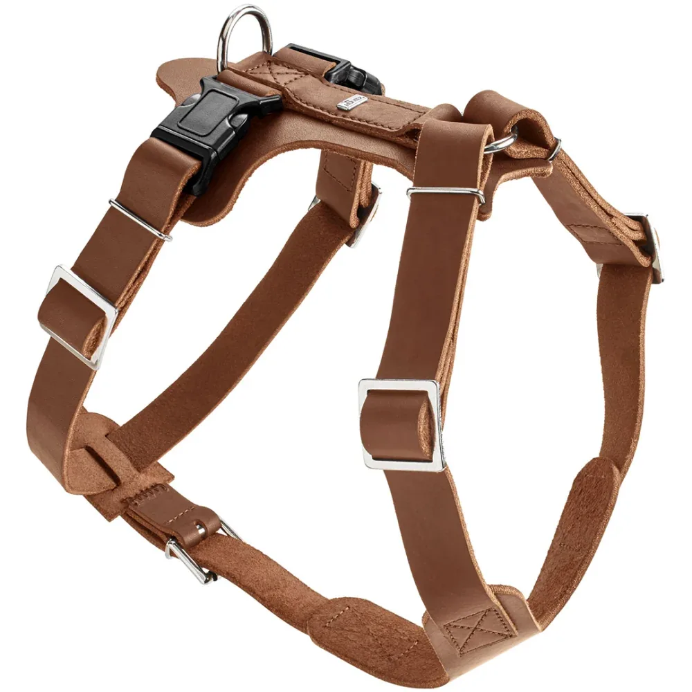 Hunter Aalborg Adjustable Leather Harness for Dogs (Cognac)