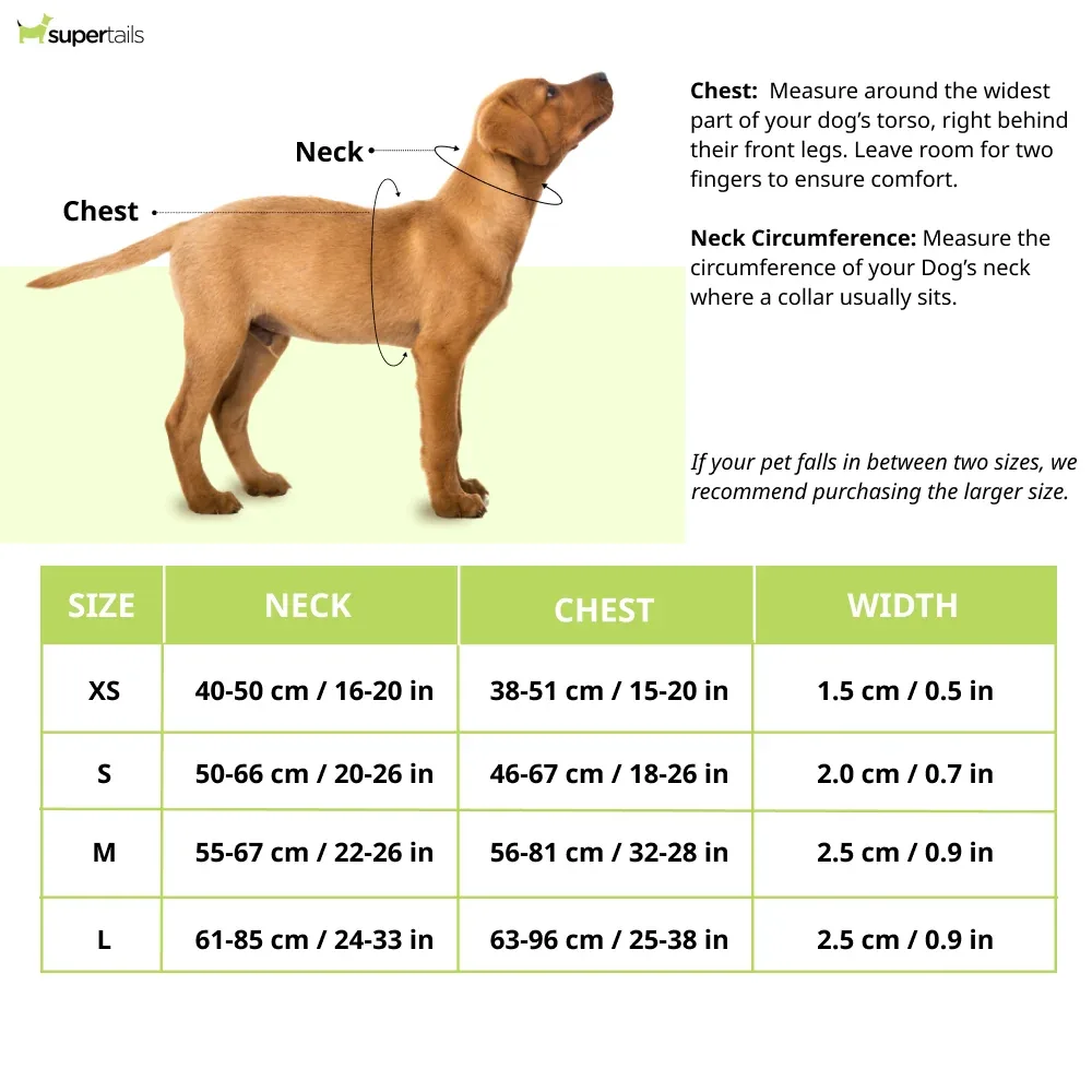 Hunter Aalborg Mixed Adjustable Harness for Dogs (Cognac/Grey) - Image 2