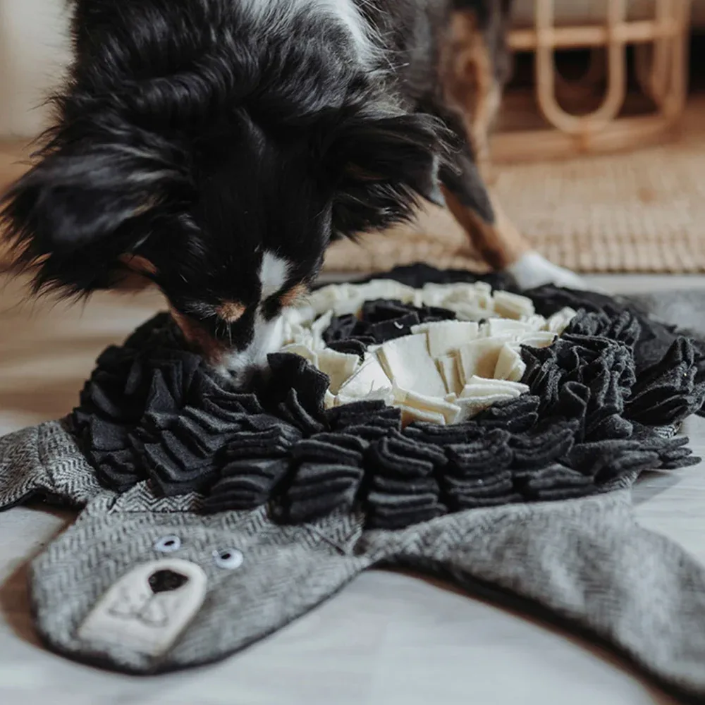 Hunter Billund Bear Playmat for Dogs - Image 2