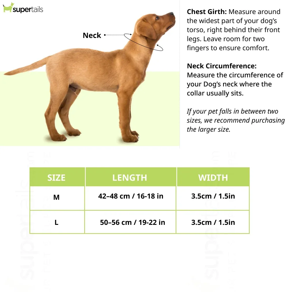 Hunter Canadian UP Collar for Dogs (Black) - Image 2