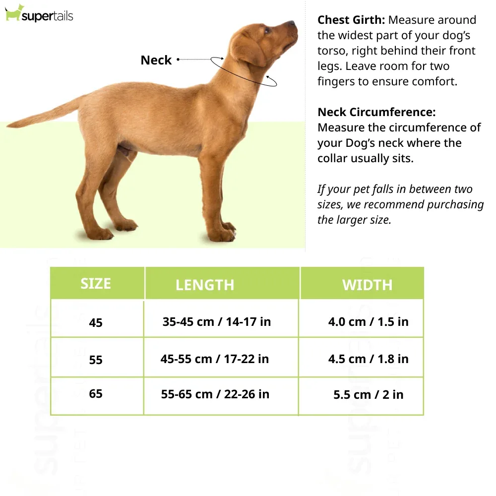 Hunter Divo Reflect Collar for Dogs (Red) - Image 2