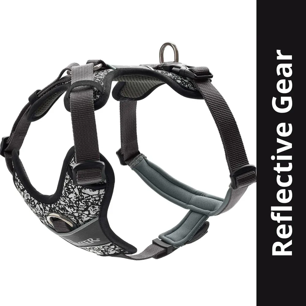 Hunter Divo Reflect Harness for Dogs (Black)