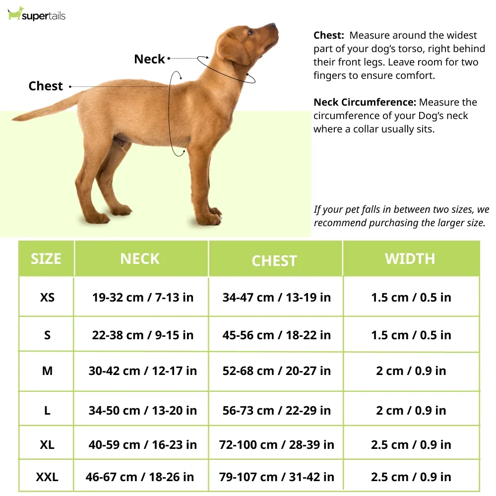 Hunter Divo Reflect Harness for Dogs (Red) - Image 2
