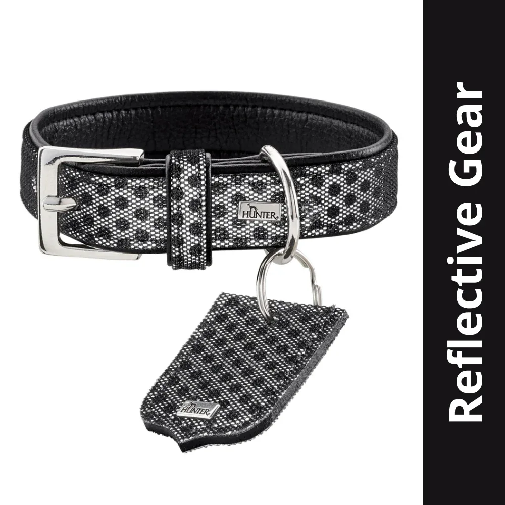 Hunter Hella Reflect Collar for Dogs (Black)