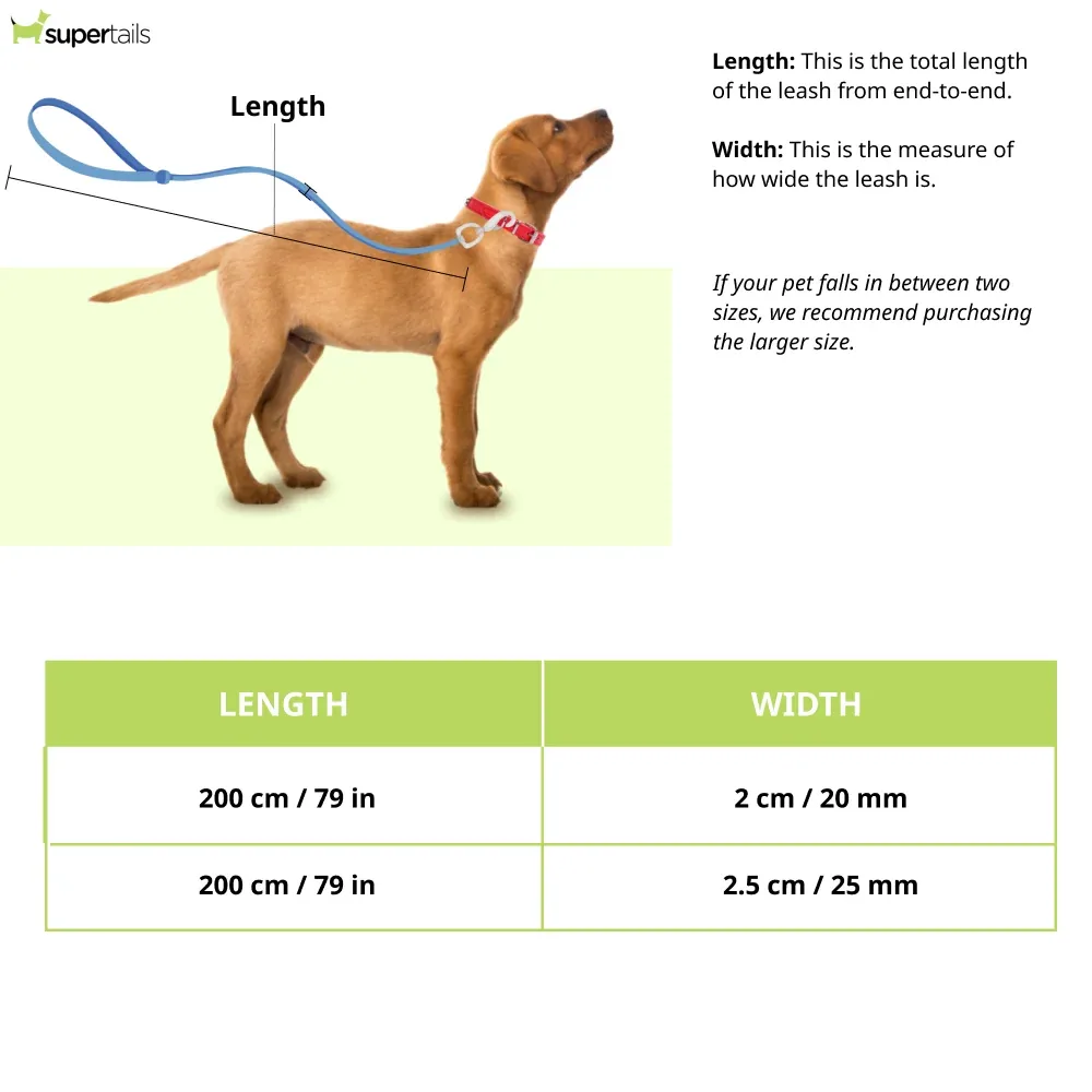 Hunter Hilo Training Leash for Dogs (Red) - Image 2