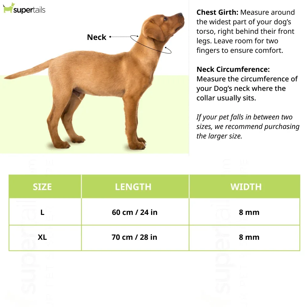 Hunter List Collar for Dogs (Dark Blue) - Image 2