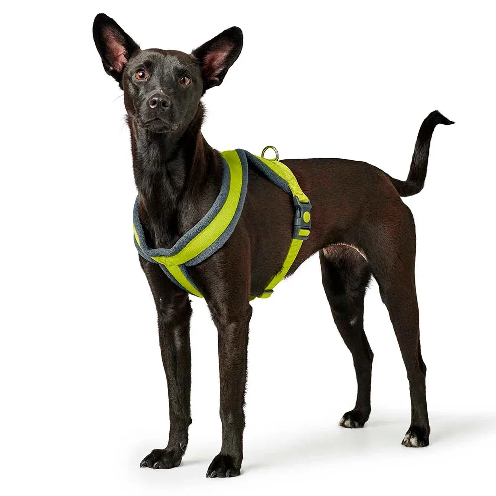 Hunter London Comfort Harness for Dogs (Lime)