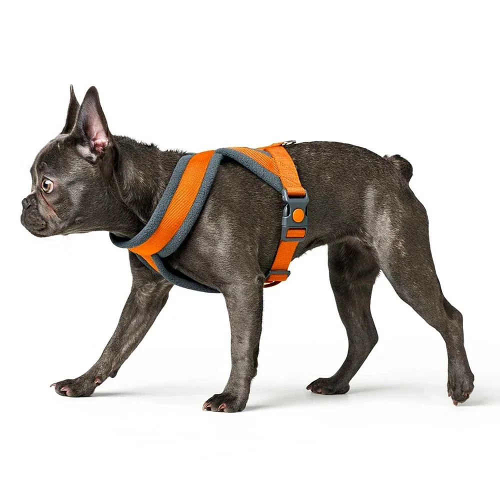 Hunter London Comfort Harness for Dogs (Orange) - Image 2