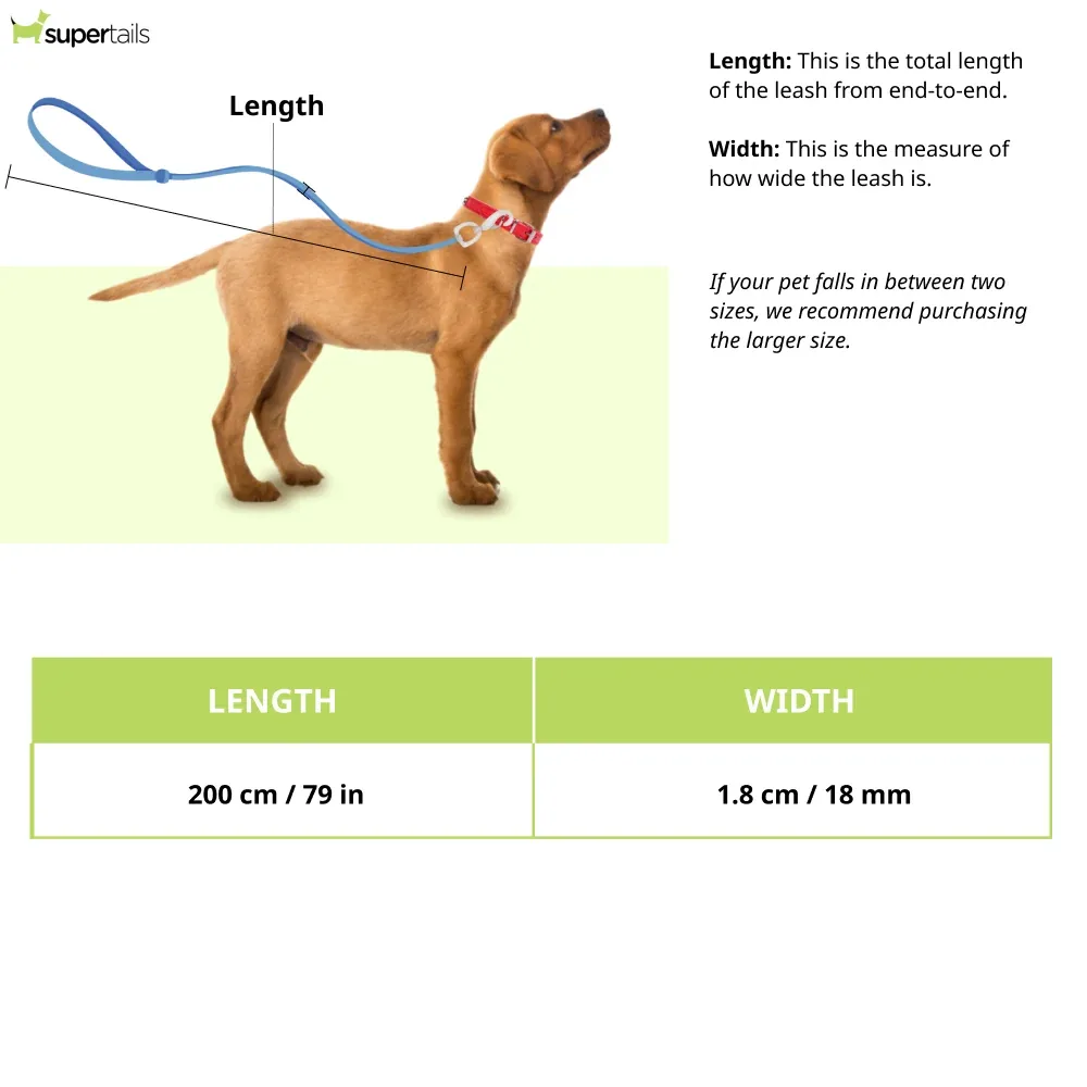 Hunter Swiss Training Leash for Dogs (Tan) - Image 2