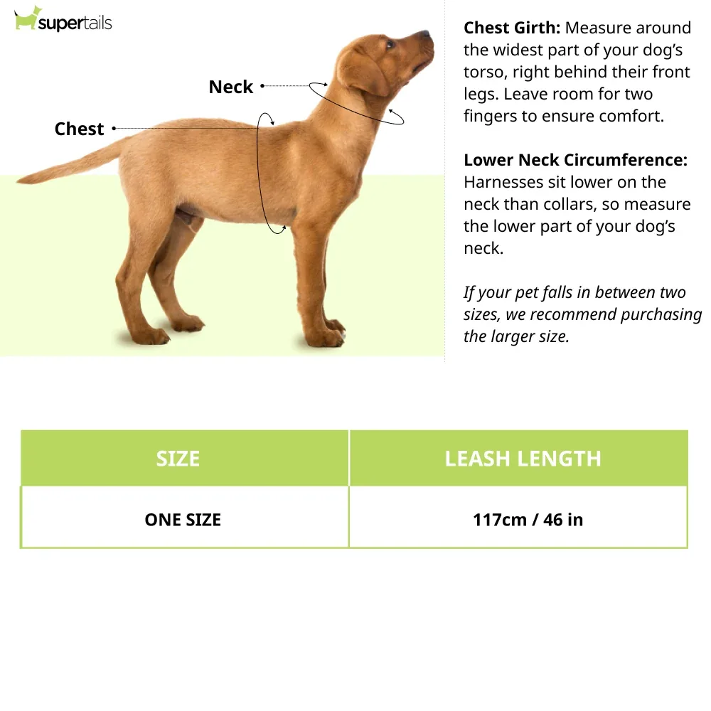 Hunter Tacoma Active Jogging Belt Harness for Dogs (Black) - Image 2