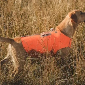 Hurtta Orange Rambler Dog Vest