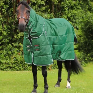 Hydra 200g Stable Rug with Neck Cover Green