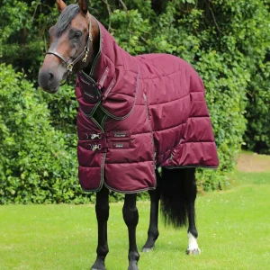 Hydra 350g Stable Rug with Neck Cover Wine
