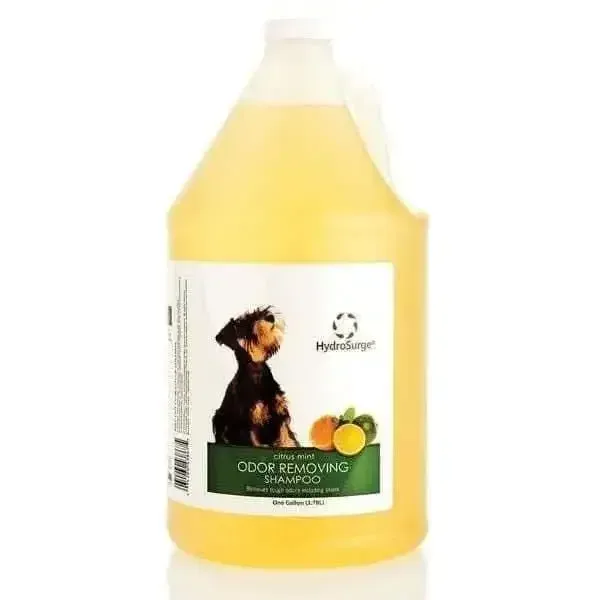 HydroSurge Odor Removing Shampoo - Gallon