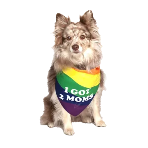 I Got 2 Moms Gay Parade Dog Bandana by Dog Fashion Living