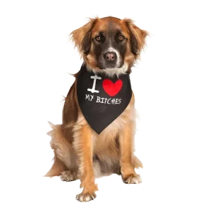 I Love My Bitches Dog Bandana by Dog Fashion Living
