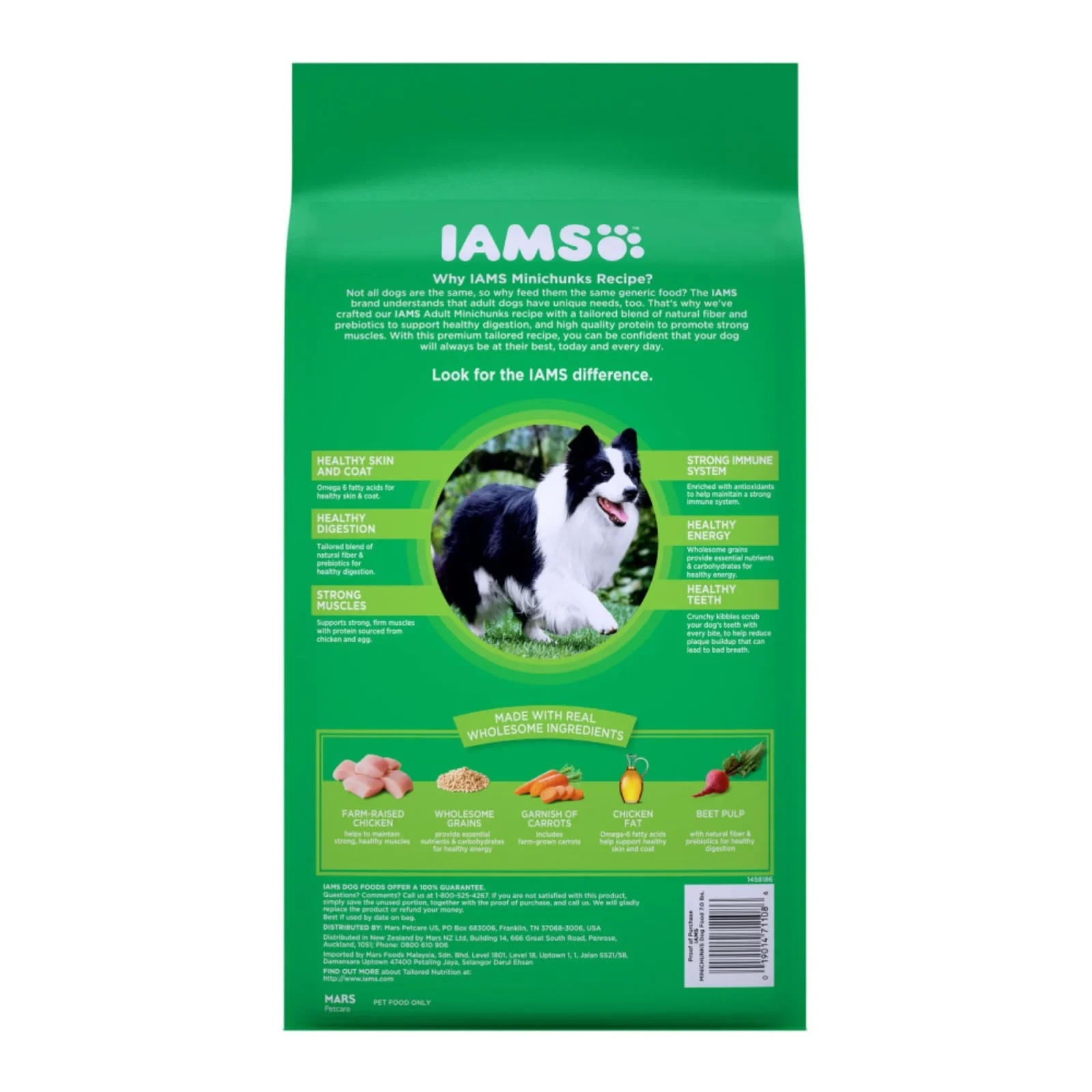 IAMS Minichunks Small Kibble High Protein Adult Dry Dog Food Real Chicken 7lb - Image 2