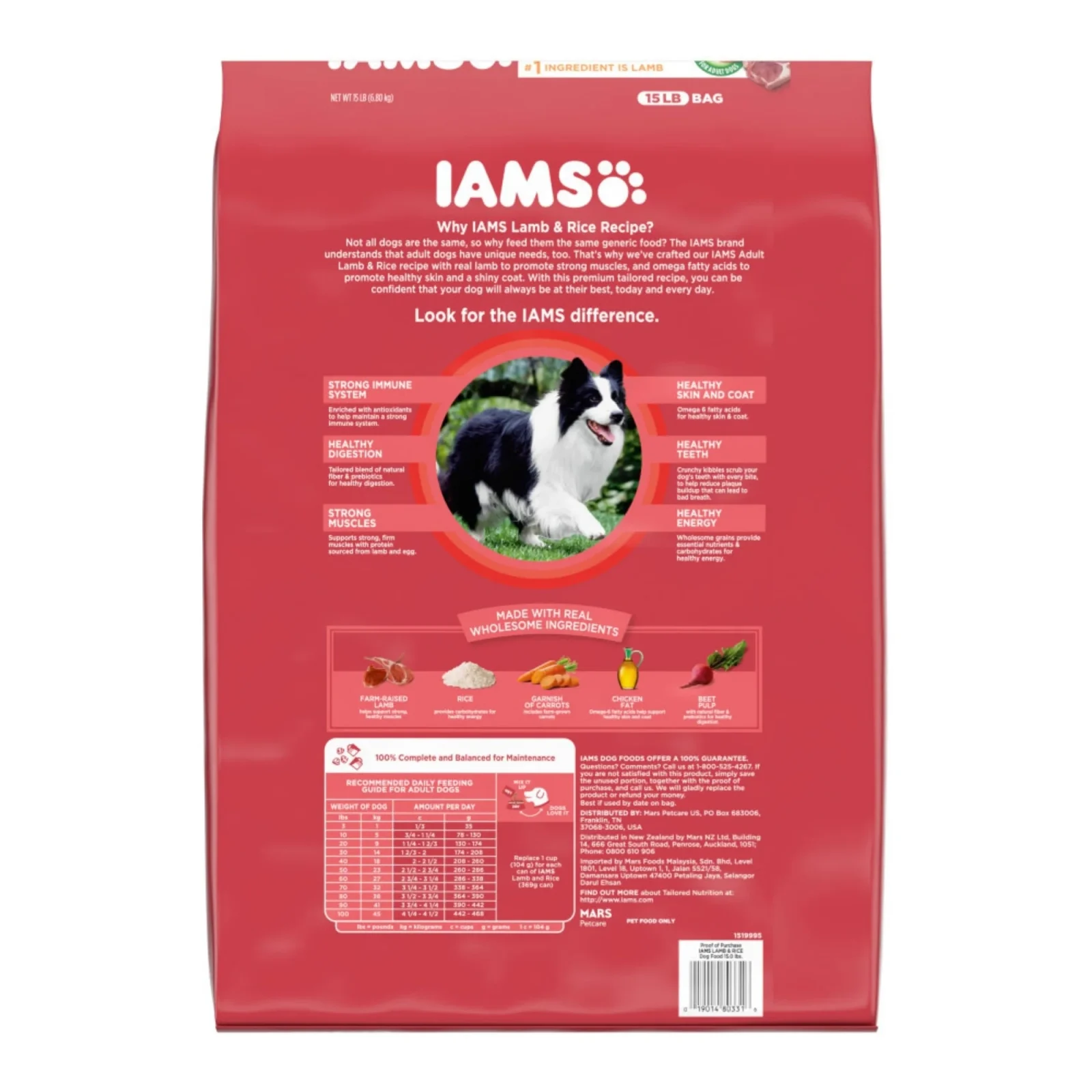 Iams ProActive Health Adult Lamb withMinichunks Kibble Dog Food 15lb - Image 2