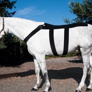 Ice Horse® Pony Back Blanket
