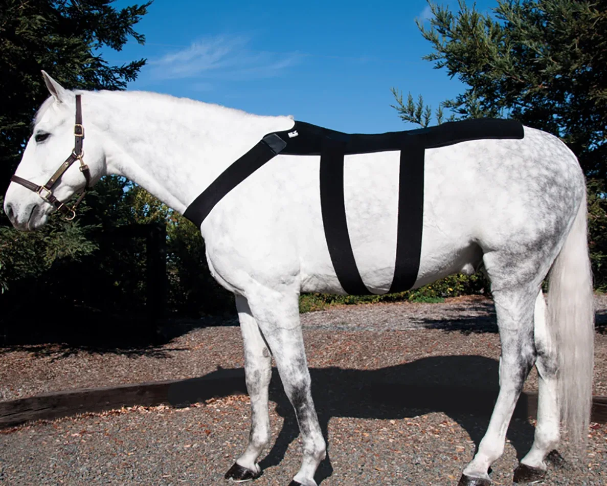 Ice Horse® Pony Back Blanket