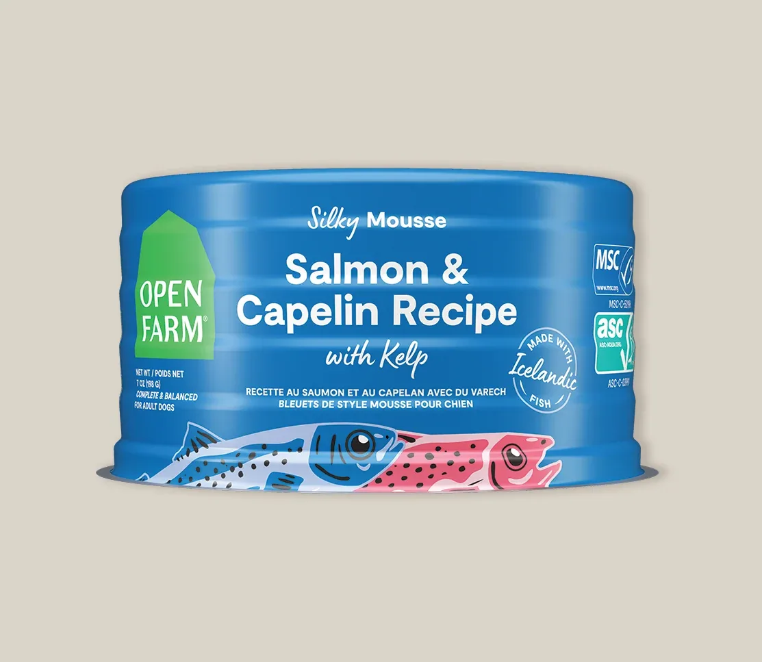 Icelandic Salmon & Capelin Wet Food for Dogs - Image 2