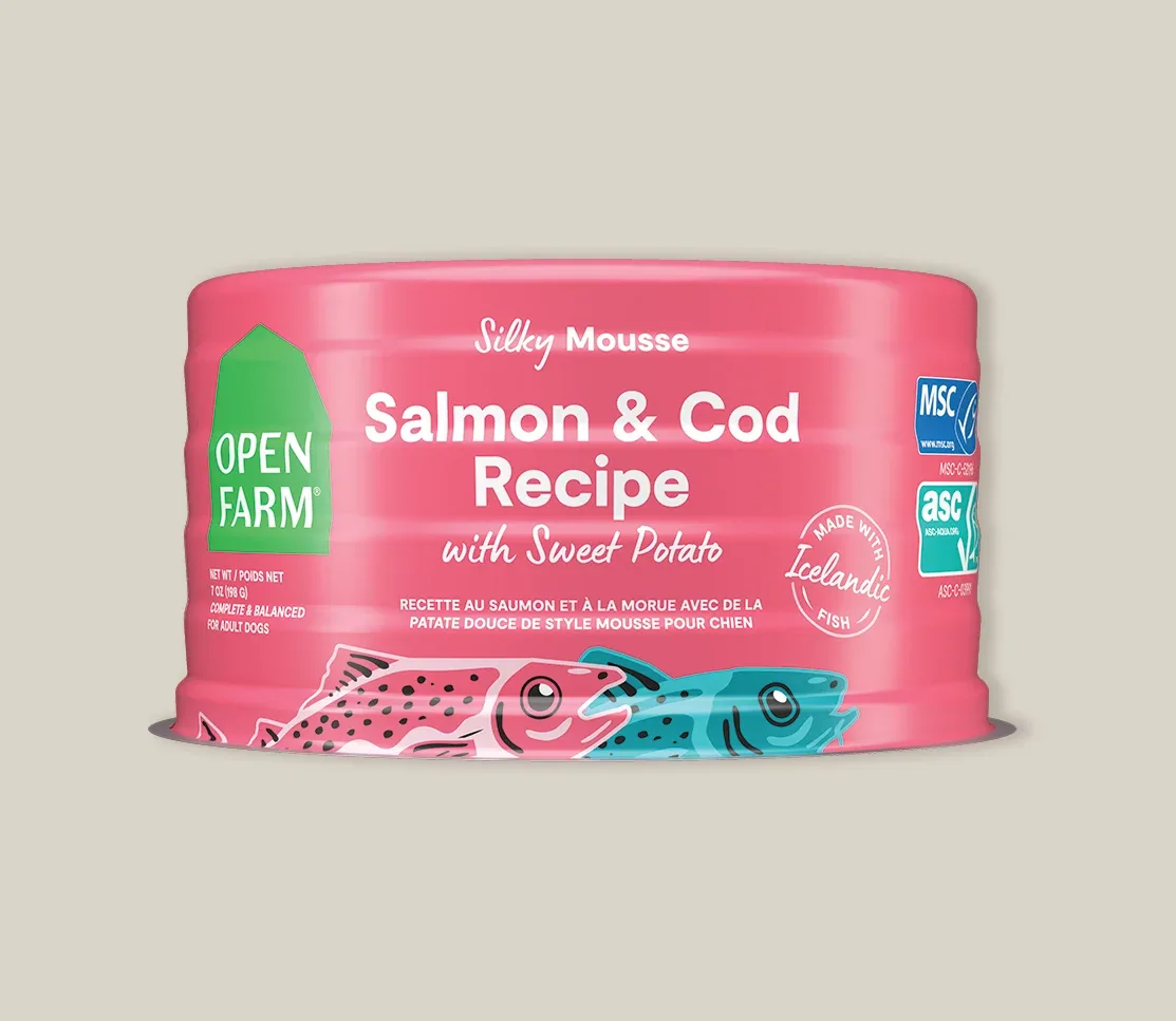 Icelandic Salmon & Cod Wet Food for Dogs - Image 2