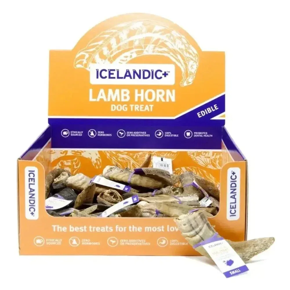 Icelandic+ Small Lamb Horn w/ Marrow 36 ct Display