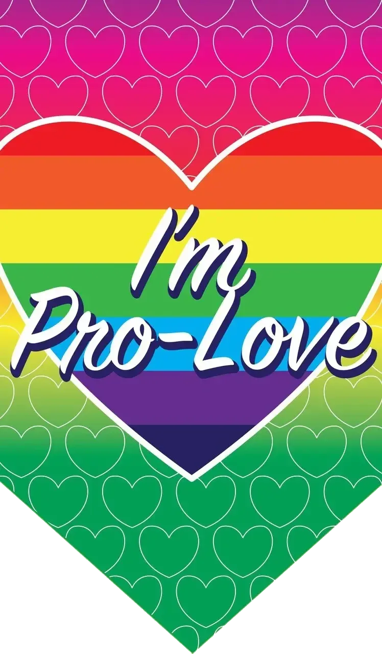 I'm Pro Love LGBTQ Dog Bandana by Dog Fashion Living - Image 2