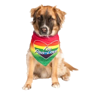 I'm Pro Love LGBTQ Dog Bandana by Dog Fashion Living