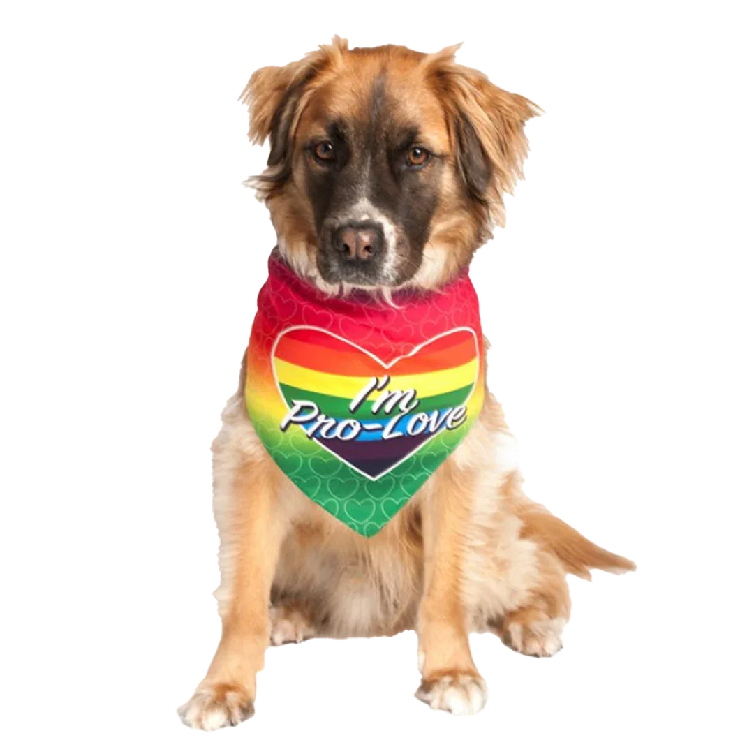 I'm Pro Love LGBTQ Dog Bandana by Dog Fashion Living