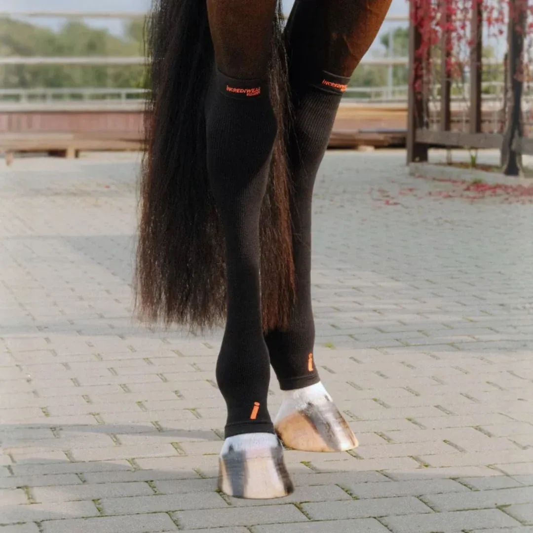 Incrediwear Equine Circulation Hock Sleeves - Image 2