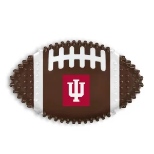 Indiana Hard Nylon Football Dog Chew Toy
