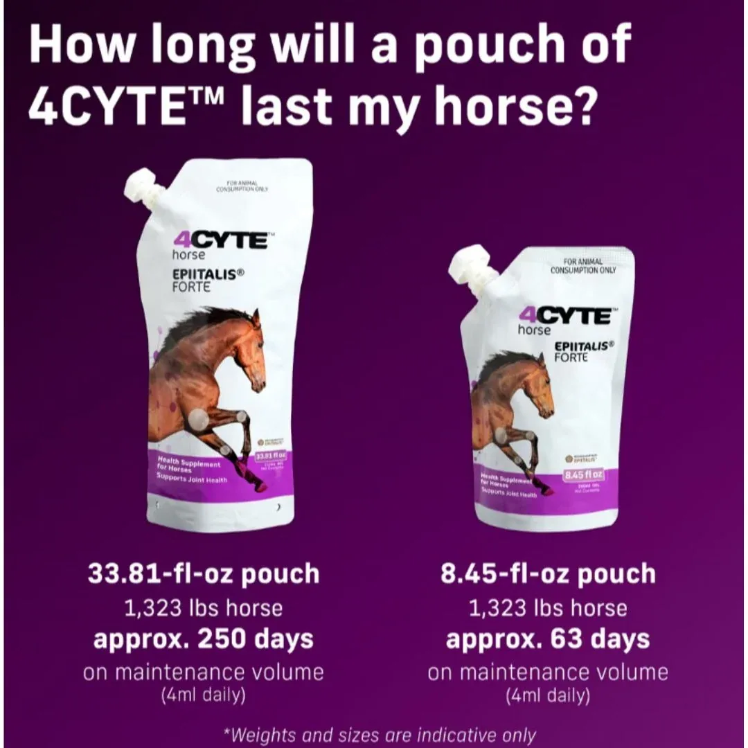 Interpath Global 4CYTE Horse Epiitalis Forte Joint Supplement Gel 250ml - Image 2