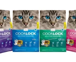 Intersand Odorlock Baby Powder Cat Litter 1ea/13.2 lb