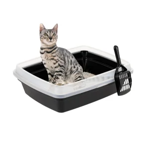 IRIS Open Top Cat Litter Box with Scoop, Plastic Pan , Black