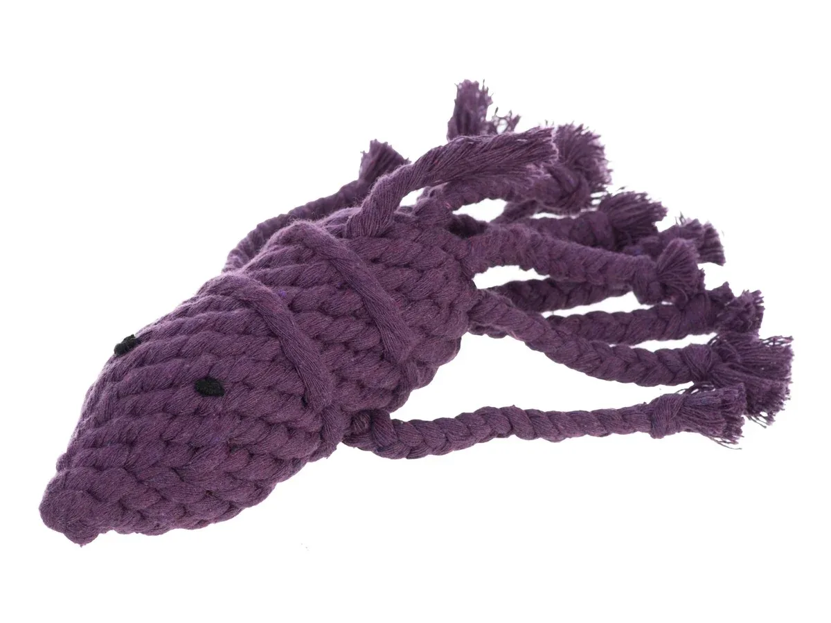 JAX & BONES | Squid Rope Toy