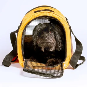 Jet Carrier Pet Carrier in Tangerine (Airline Approved)