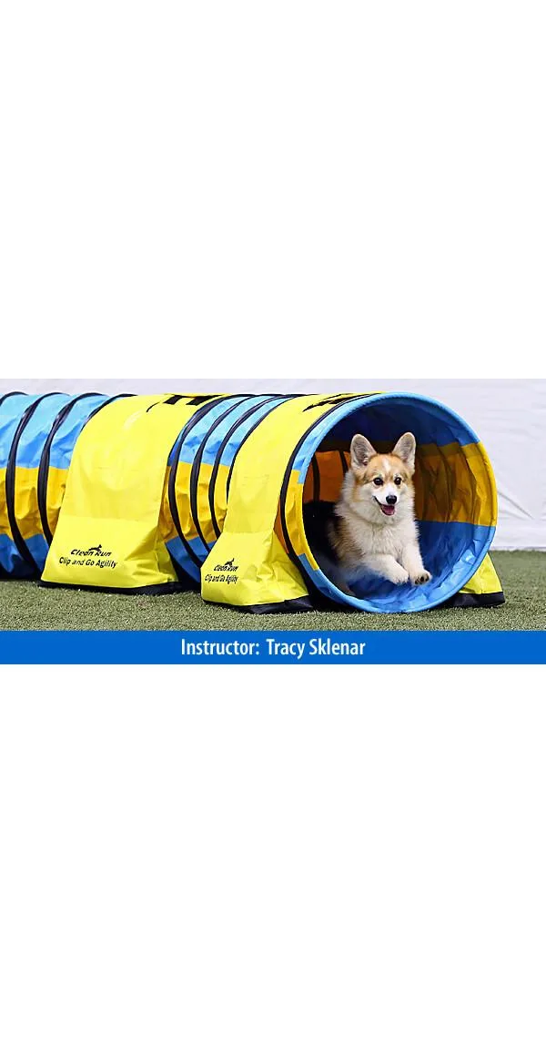 Join Our Pack!