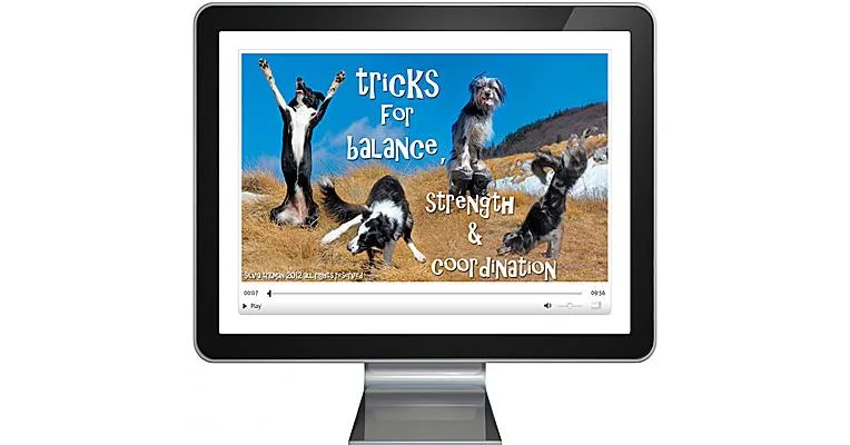 Join Our Pack!