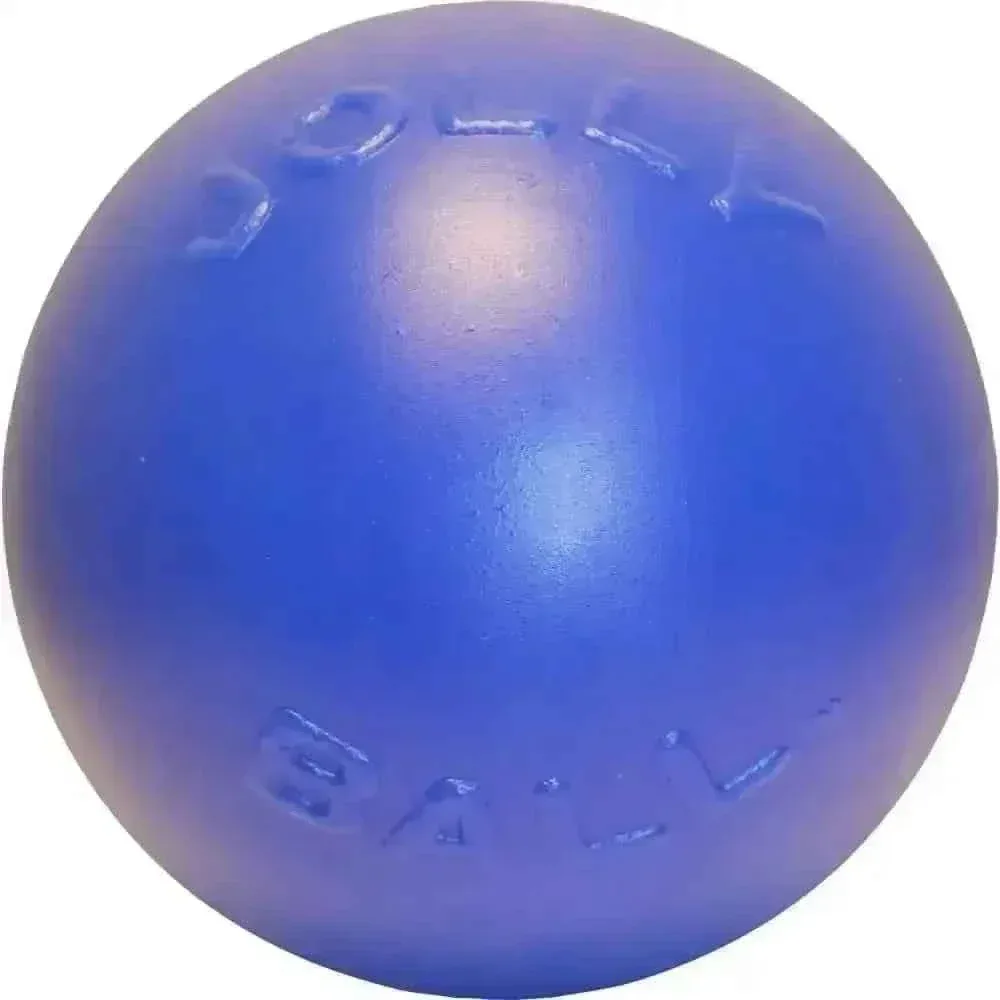 Jolly Pet Push-n-Play Dog Toy 10 in - Fun and Durable Plastic Toy for Active Dogs