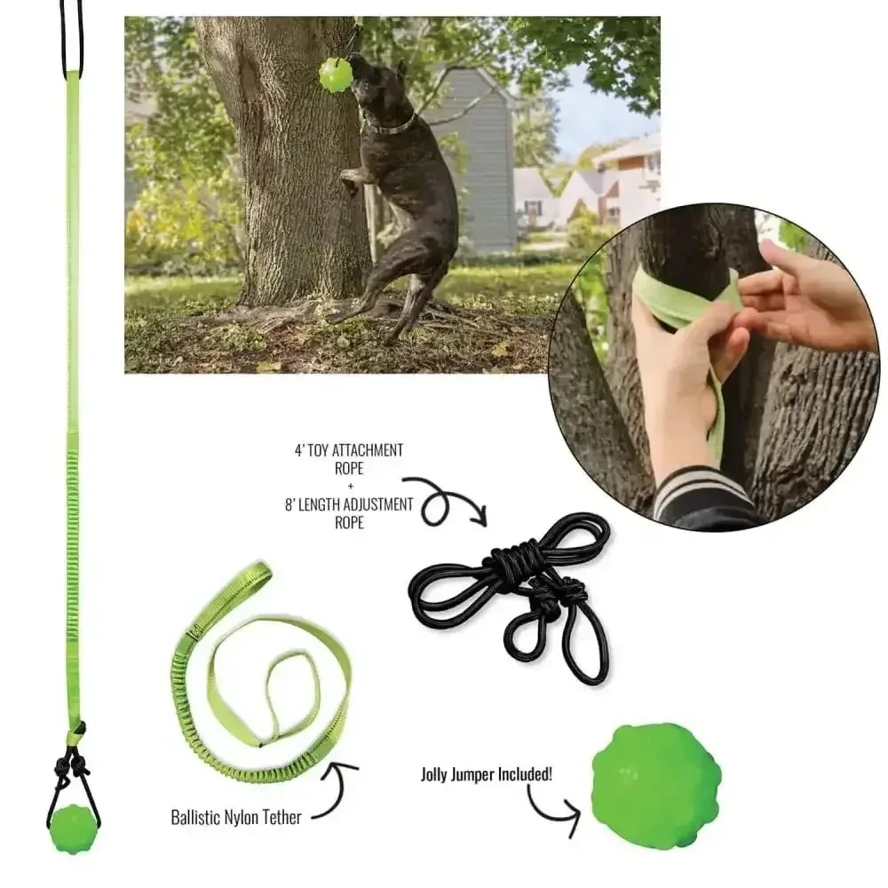 Jolly Pet Tree Tugger Dog Toy