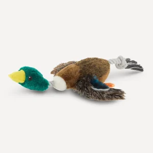 Joyhound Realistic Binded Mallard Duck Dog Toy Plush, Squeaker, XXL
