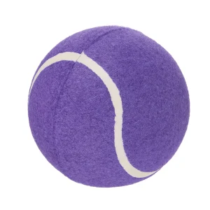 Joyhound® Tennis Ball Dog Toy 5 in