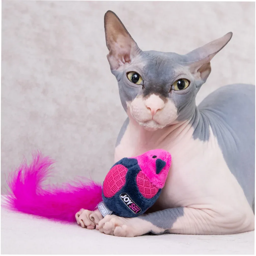 Joyser Cat Bird Toy with Feather & Sound for Cats (Pink/Blue) - Image 2