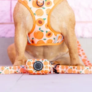 Just Peachy Poo Bag Holder