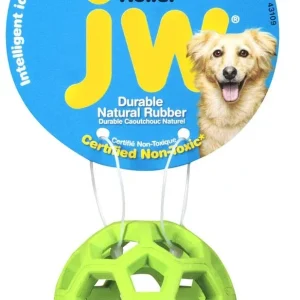 JW Hol-ee Roller Dog Toy Mini
